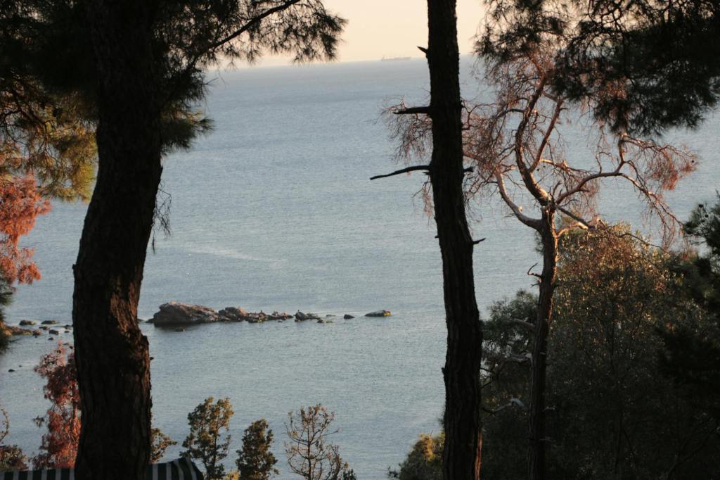 如何避免「萬分之一」的死亡事故發生在自己身上