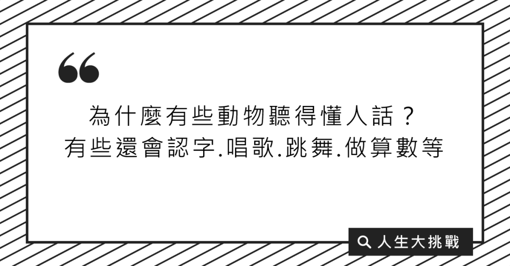 毛孩為何會像人？『動物有靈性』的由來