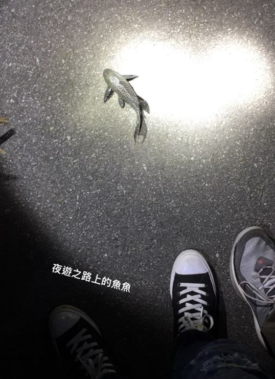 各種靈異現象的內幕