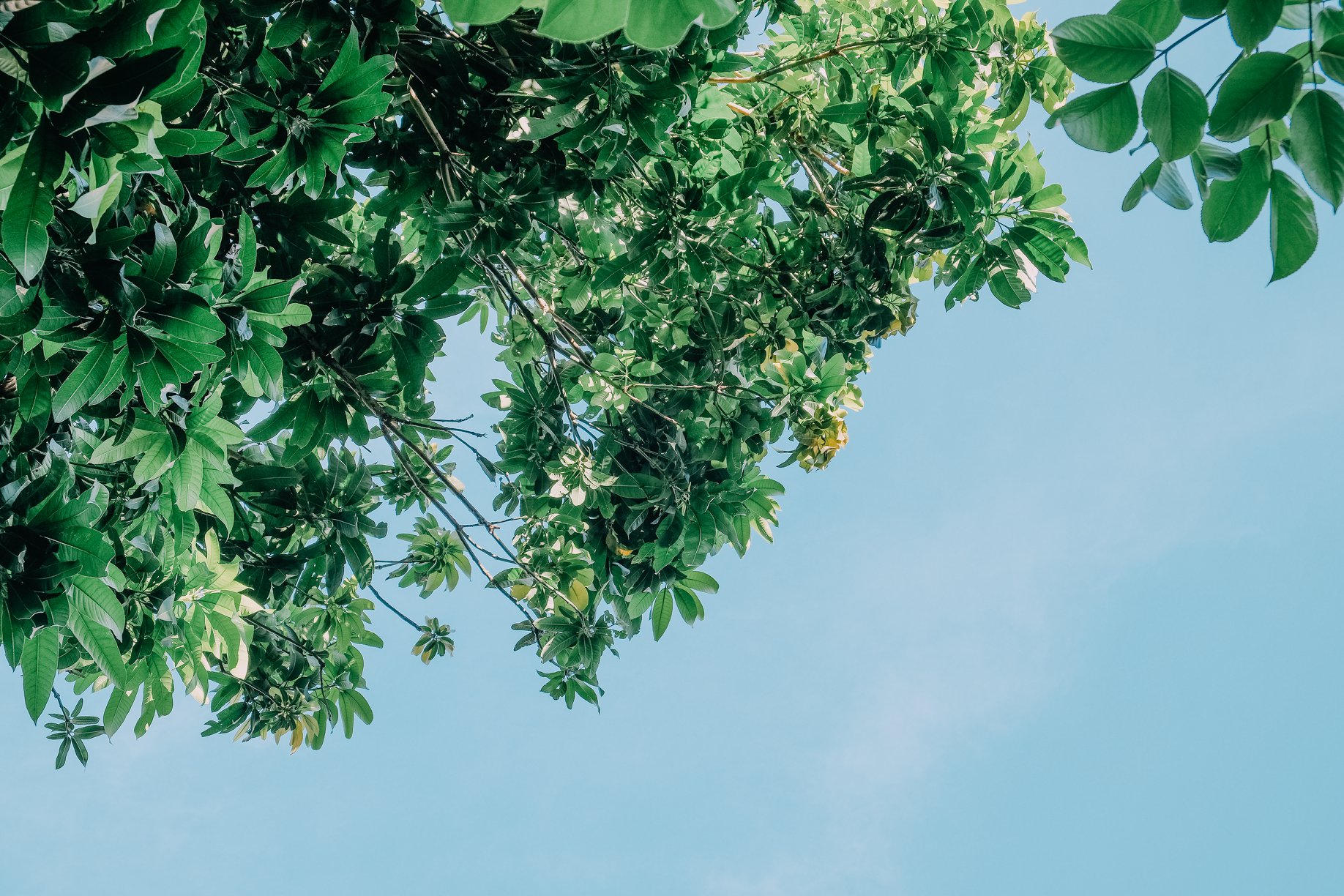 90853158_3464169930266703_3313631281056579584_o